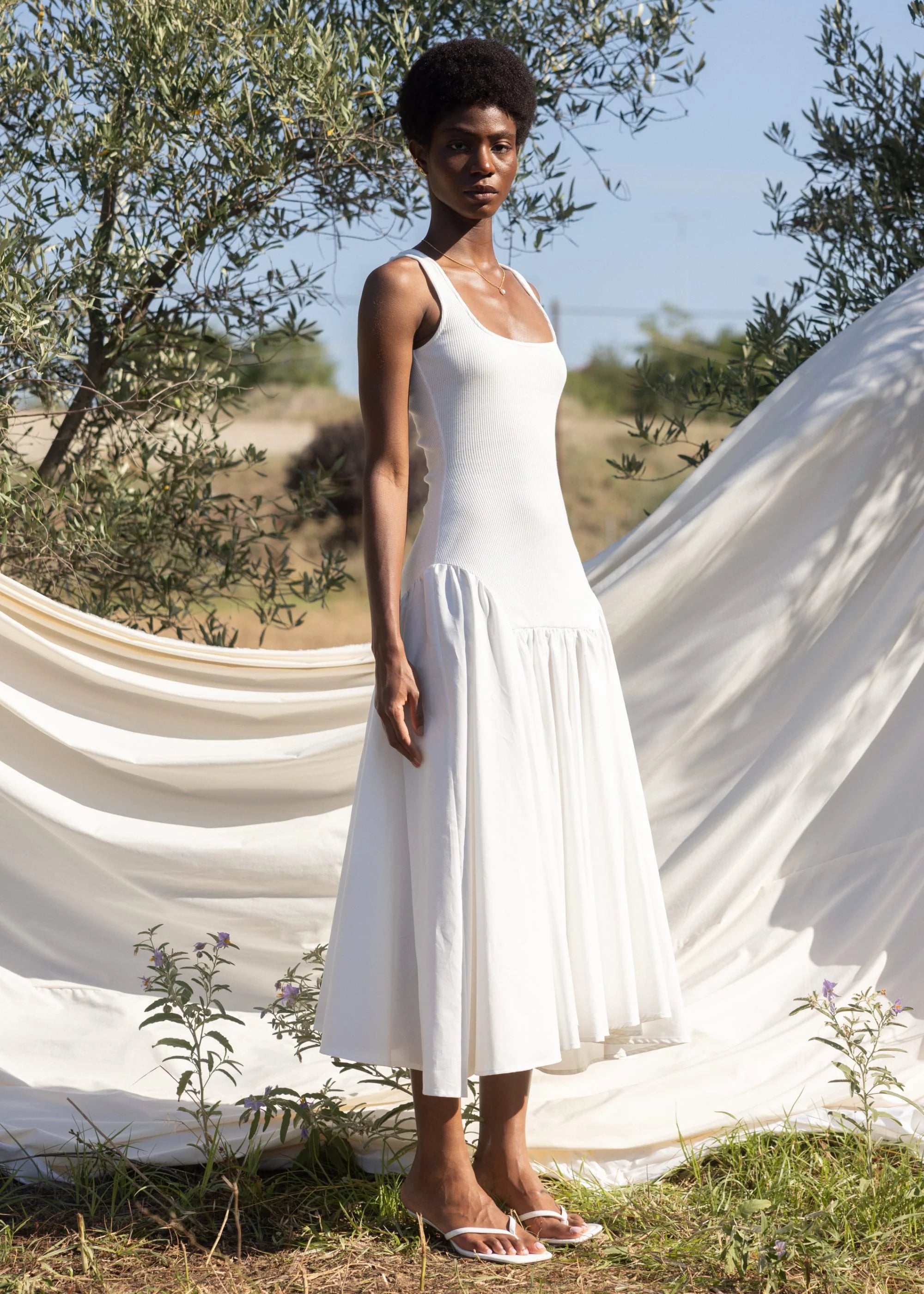 midi dress Ribbed Cotton-Poplin