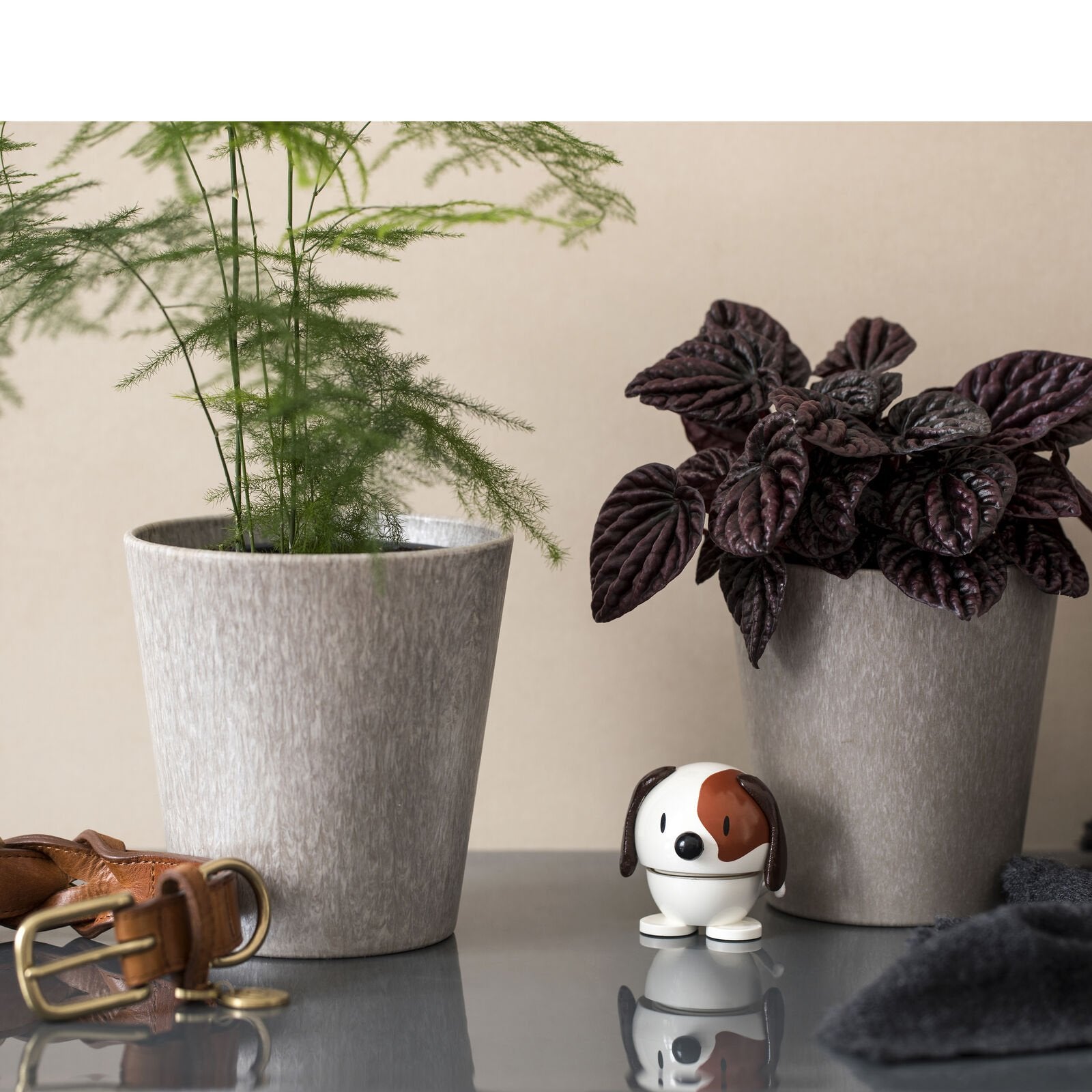 26124_env_1_high.jpg