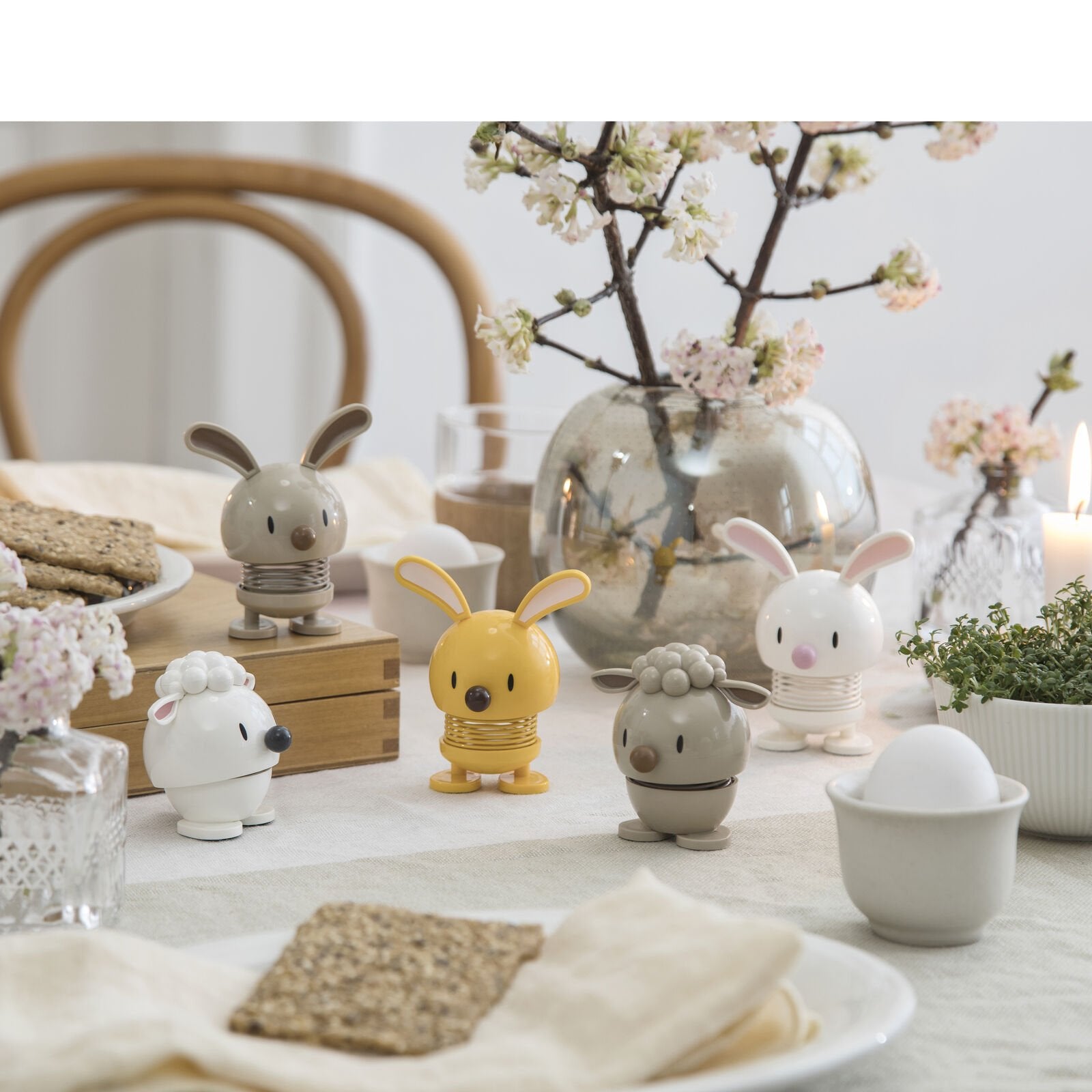 hoptimist králíček - Bunny
