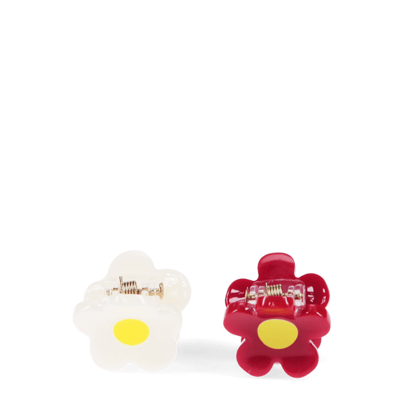 31317_2-set-of-2-mini-hair-clips-flowers.png