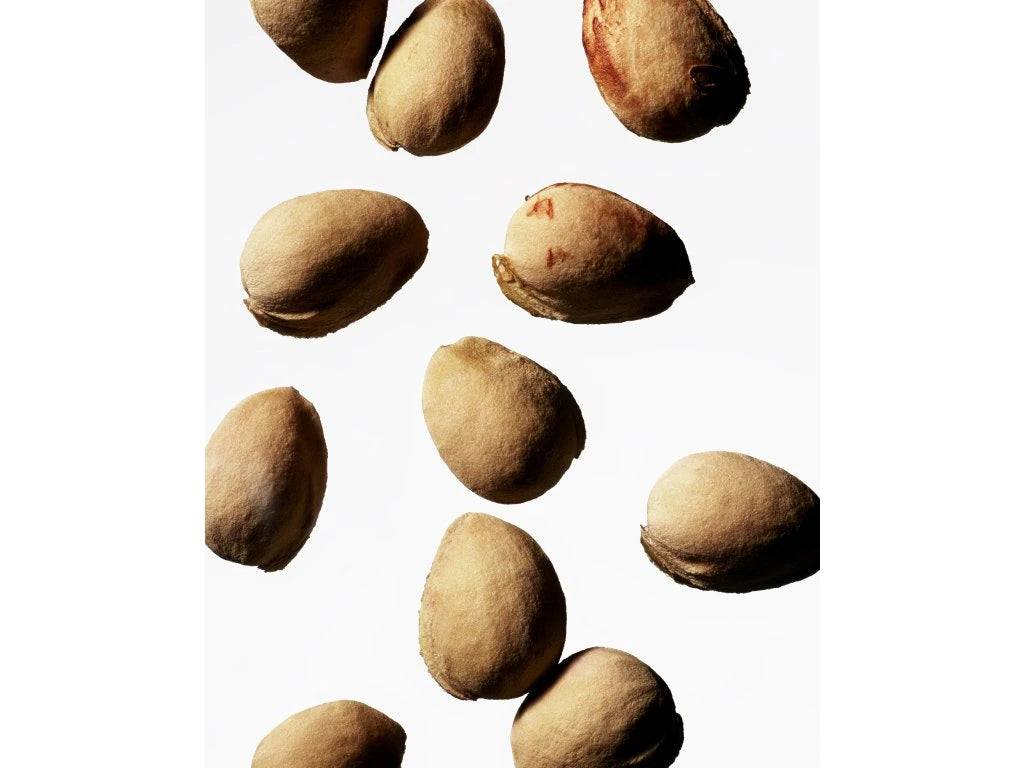 Pečující multifunkční lesk na rty CHAMELI