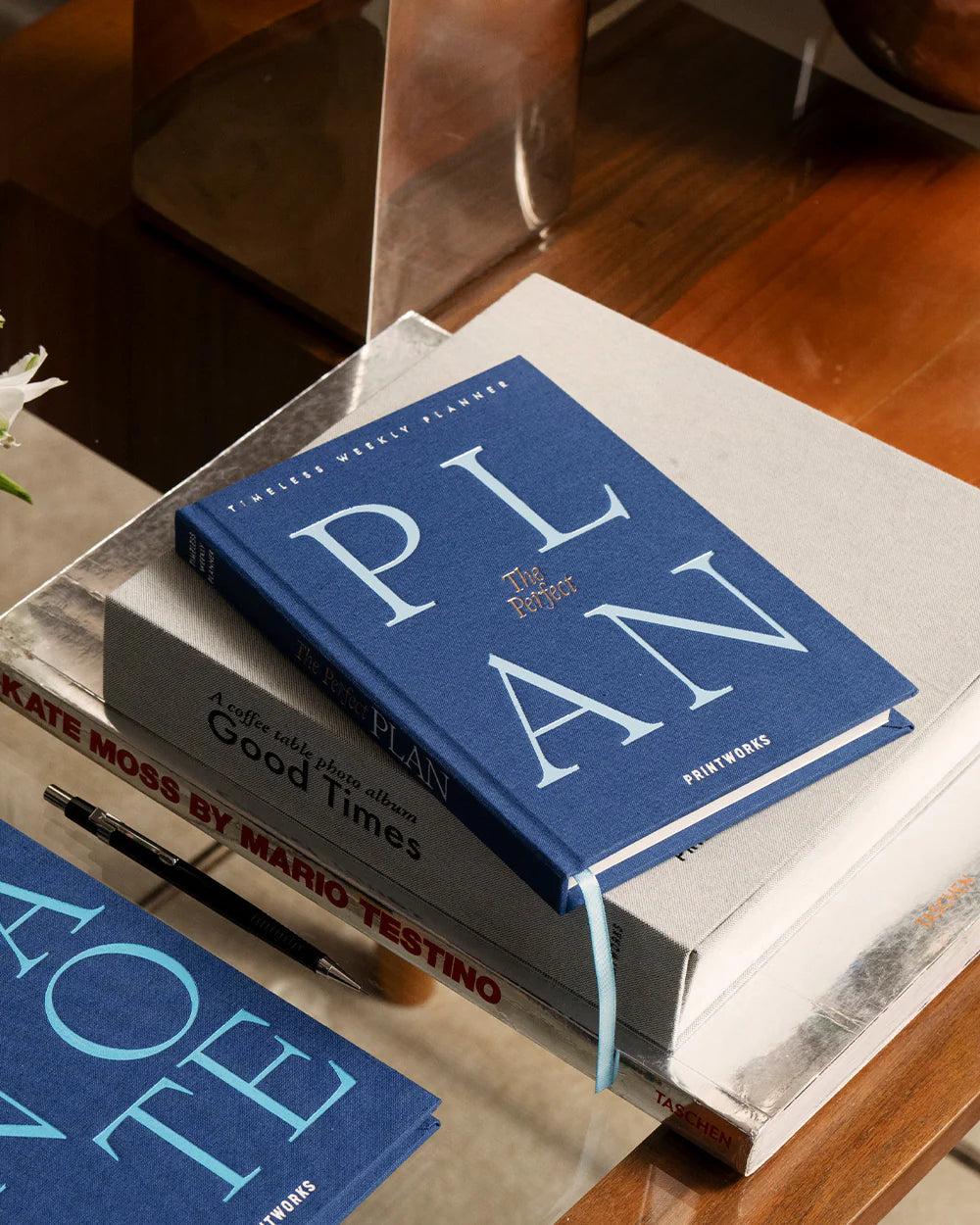 Planner The Perfect Plan - blue