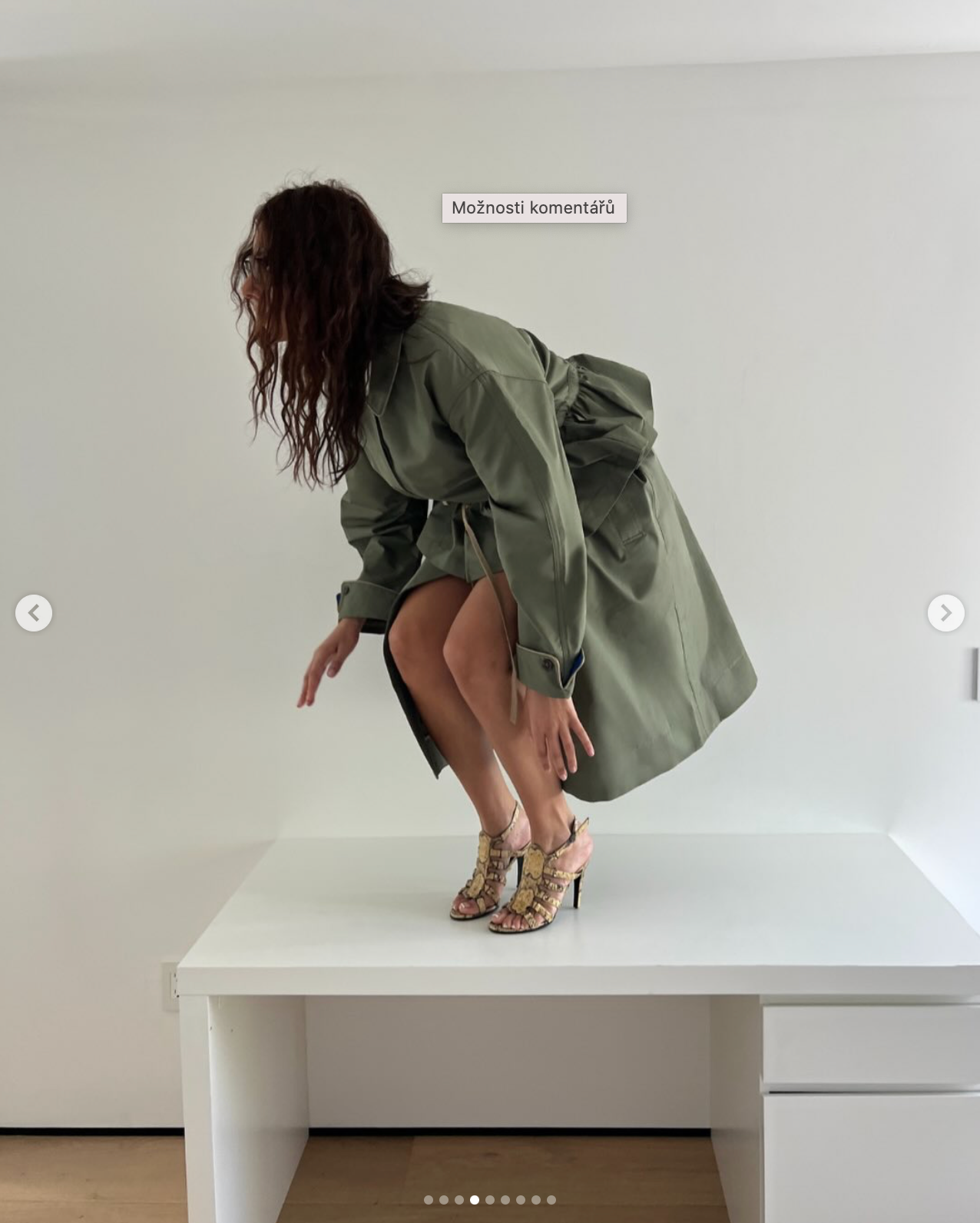 multi-coat myrtle trench sage