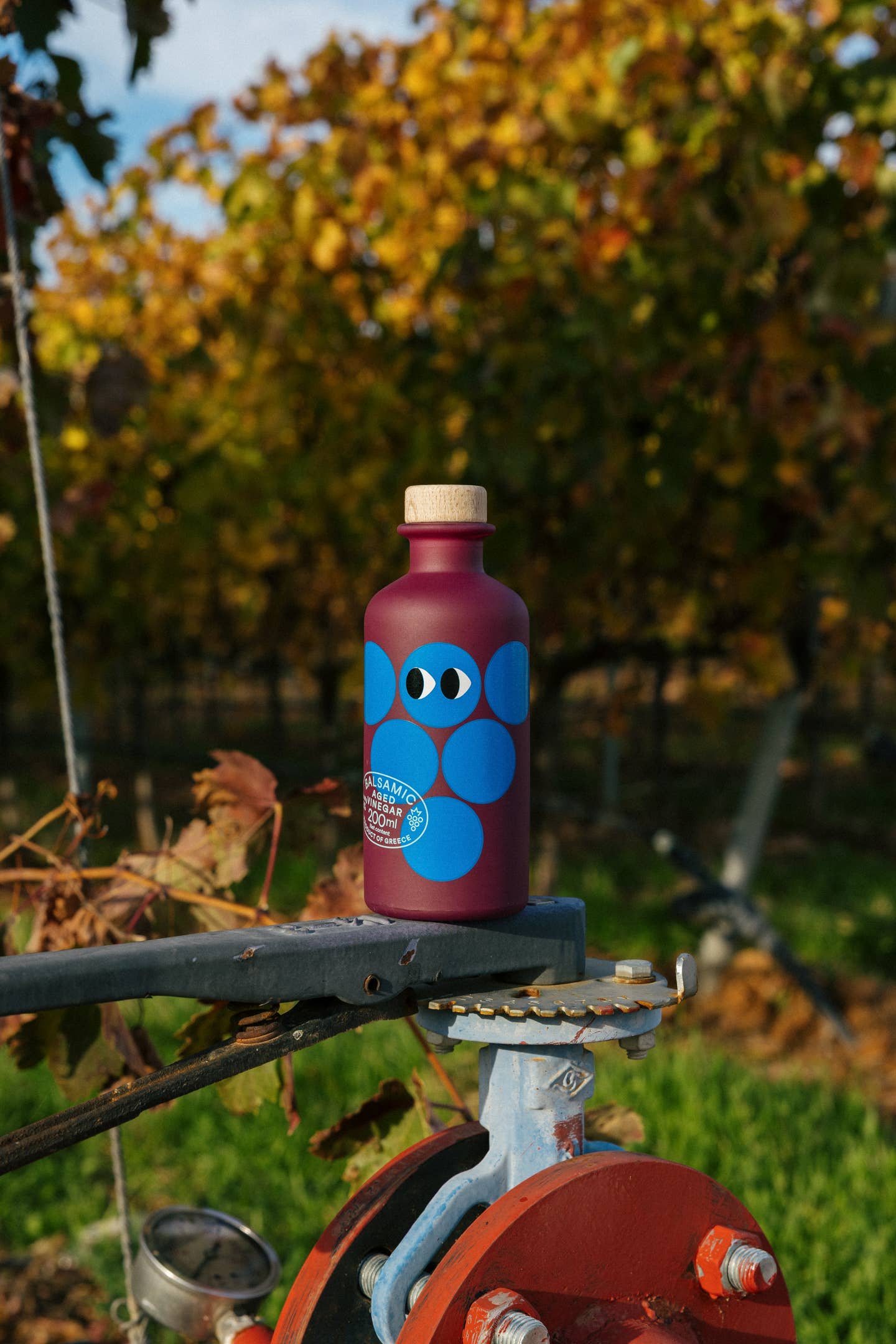 Aged balsamic Vinegar