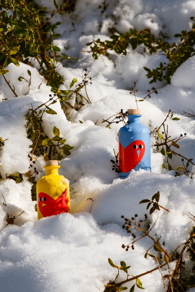 Extra Virgin Olive Oil – Harvest of Love 500 Ml x2