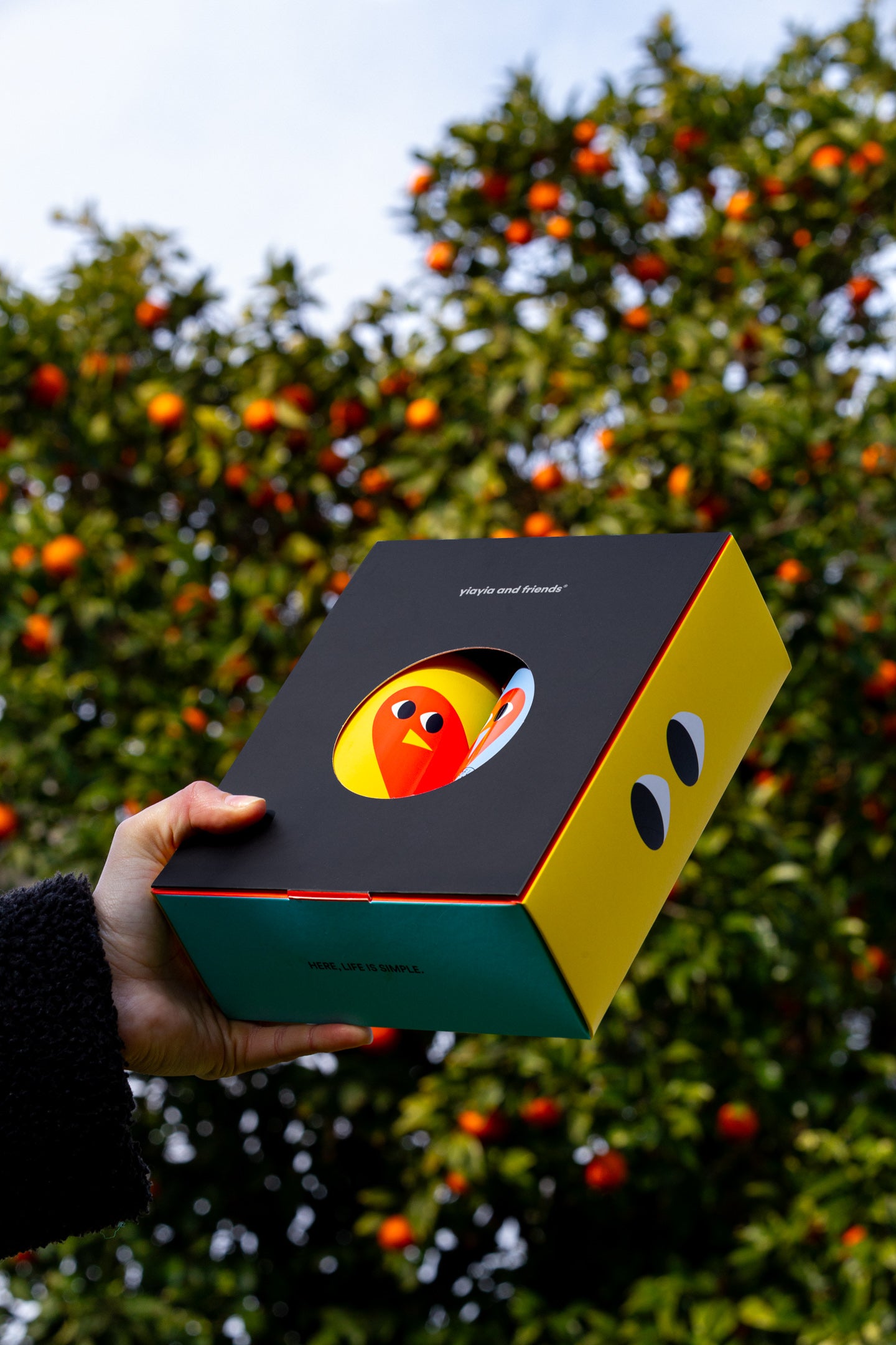 Extra Virgin Olive Oil – Harvest of Love 500 Ml x2