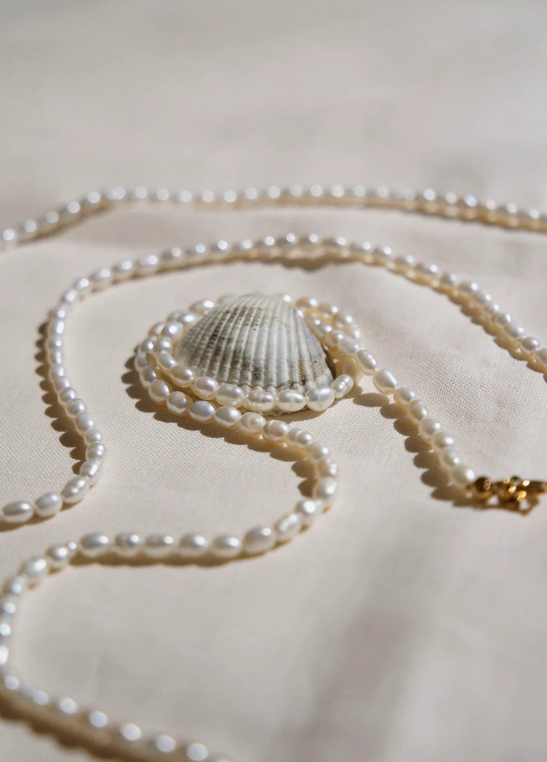 perlas_pequenas_1100x_51ff15a4-dcbc-4e7f-85f7-928b035ababb.webp