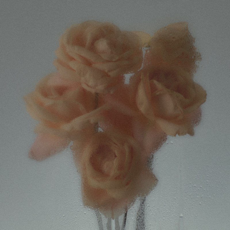 prirodni-parfem-abel-nurture_1_32f8ee93-223f-4811-815d-65856cdaa505.png